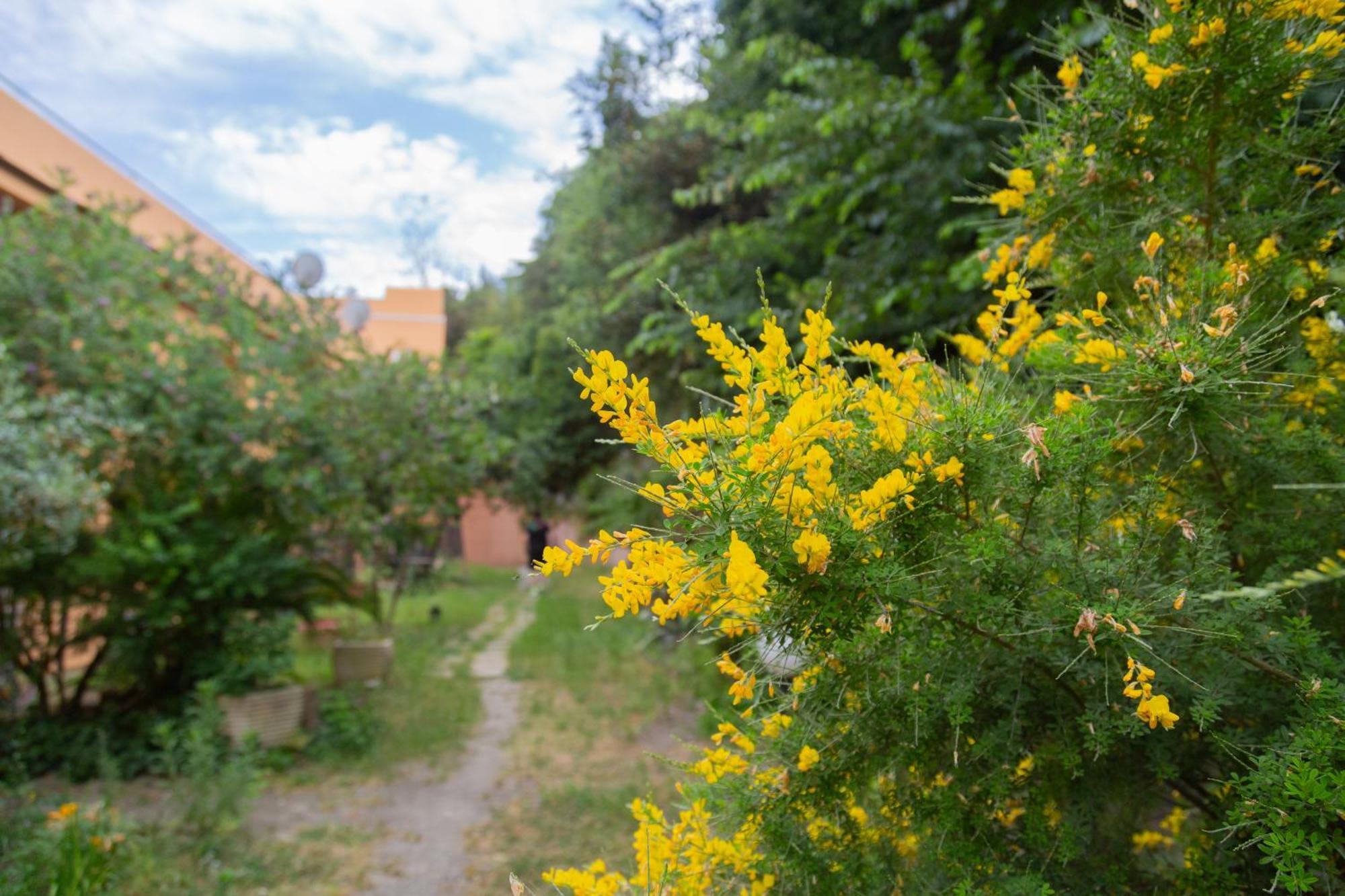 La Casa Di Nonna Peppina A Trastevere Roma Exterior foto